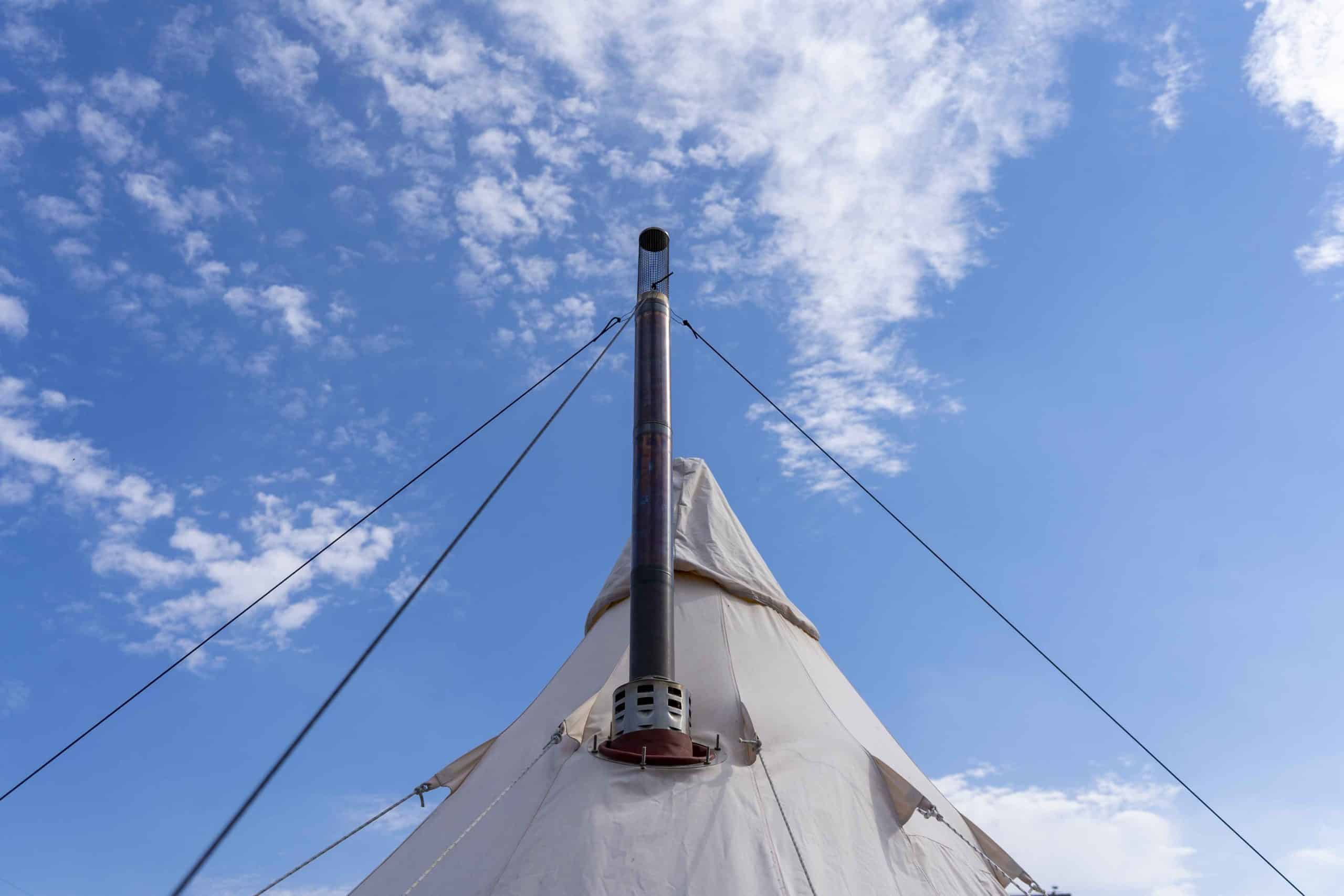 Winnerwell Guyline Peg Set - Image 2